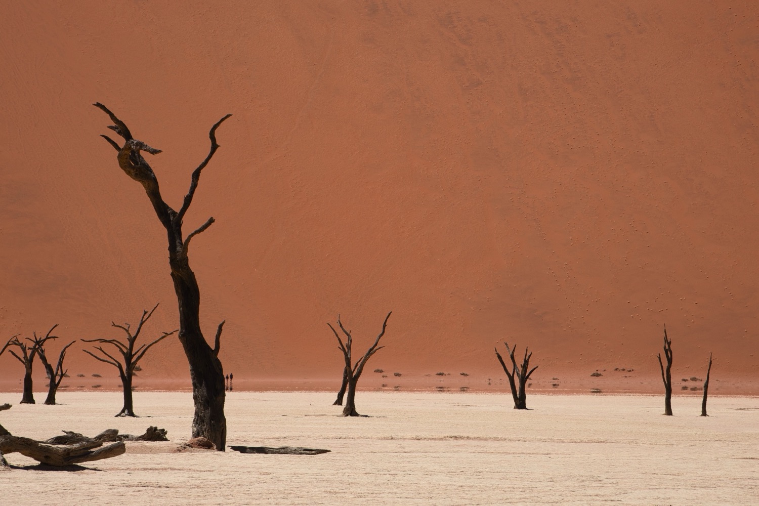 Deadvlei, Namibia